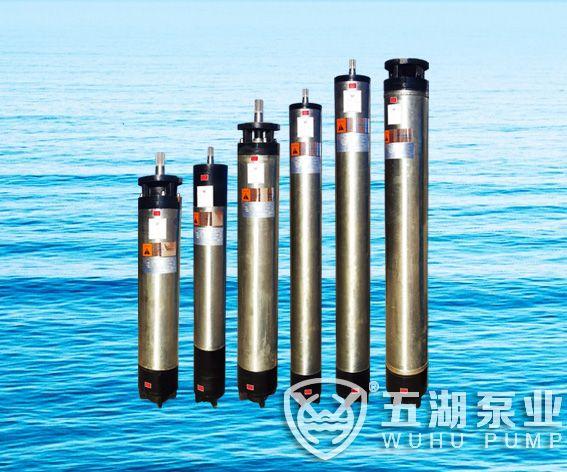 WHNWHM系列國際通用標準潛水電機