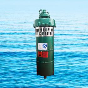 QS小型潛水電泵、QST660V特種電泵